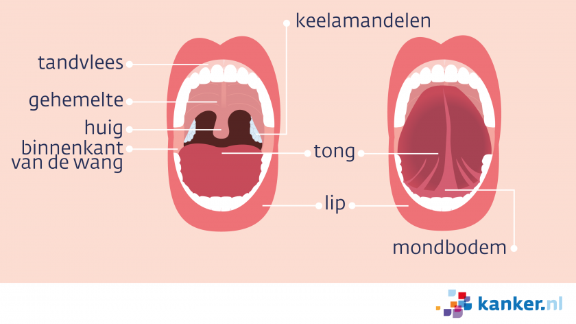 De Mond Kanker nl De Mond Kanker nl